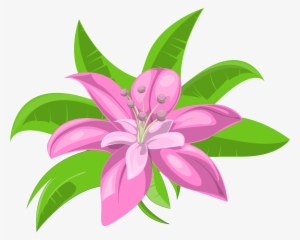 Hawaiian Flowers Png