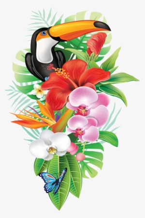 Jpg Transparent Download A D F Orig Png Pinterest - Tropical Png