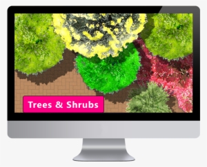 Top View Plants Images - Interior Design