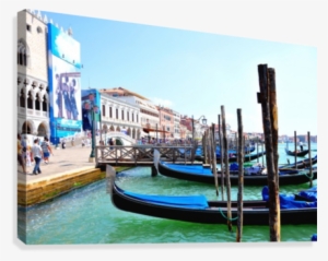 Tree Top View Canvas Print - Doge's Palace