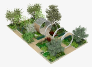 Hillier To Use Davidia Involucrata As Chelsea Flower - Chelsea Flower Show