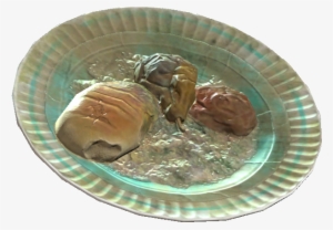 Moldy Food - Illustration