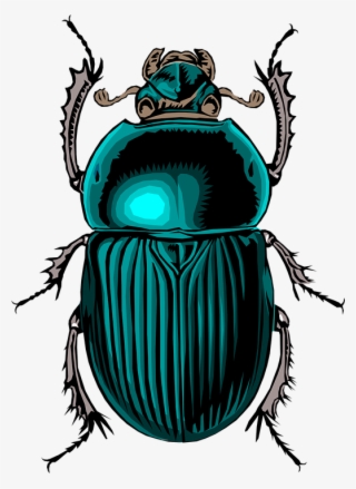 Scarab Beetle Tattoo - Egyptian Bug