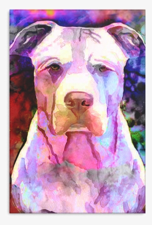 Pitbull Canvas P87 - Pit Bull