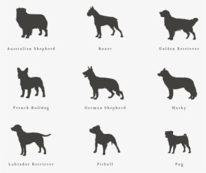 Oval Dog Address Stamp