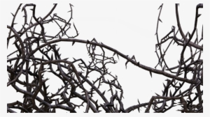 Black Thorns Png