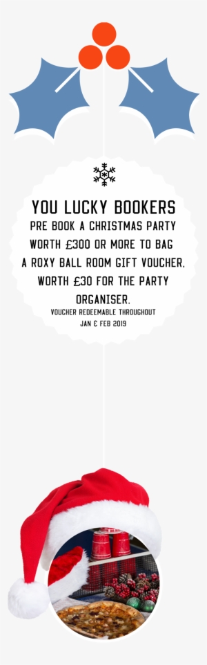 Roxy Website Christmas Banner - Roxy