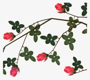 Png Thorns Svg Free - Clip Art