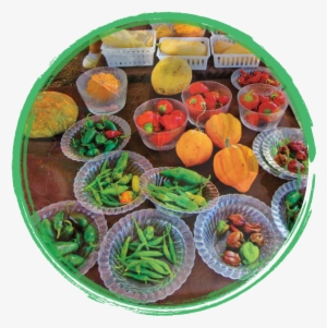 Fruits And Veggies In Baskets Surrounded By A Green - Fruit