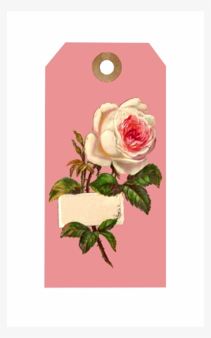 Printable Gift Tag - Rose
