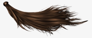 Hair Transparent Background - Hair Transparent Background Png