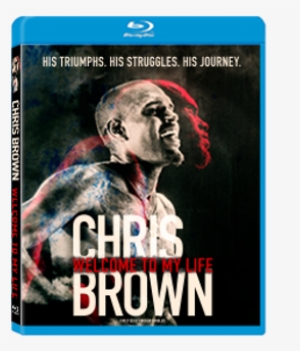 Chris Brown Welcome To My Life Documentary Unsupervised
