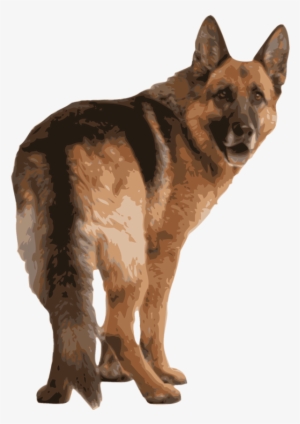 German Shepherd Free Clip Art Images Pictures Becuo - German Shepherd Back View