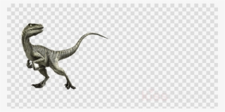 El Velociraptor Clipart Velociraptor Deinonychus Tyrannosaurus - Female Icon Transparent Background