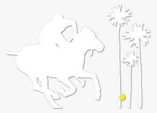 Palm City Polo - Line Art