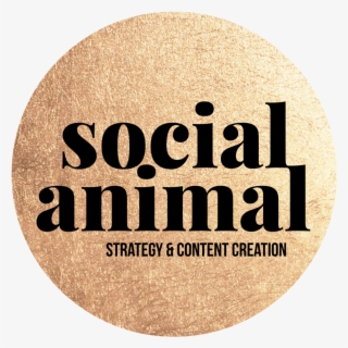 Socialanimal Gold Circle - Clothing