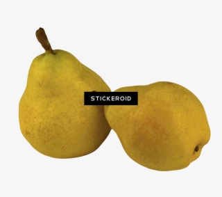 Green Pear - Asian Pear