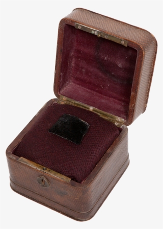 A Fake Typical Hitler's Moustache Is Pinned On It - Treasure