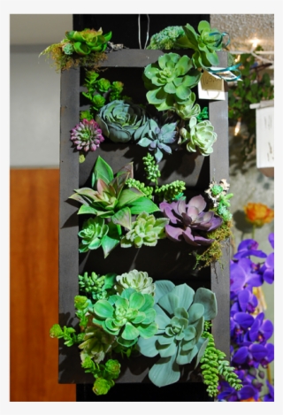 Hanging Silk Succulent Tray Garden - Succulent Plant