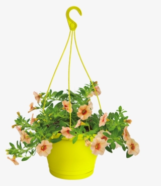 Home > Collection > Corsica Hanging Basket - Elho Green Basics Easy Hanger Small Mild Terra