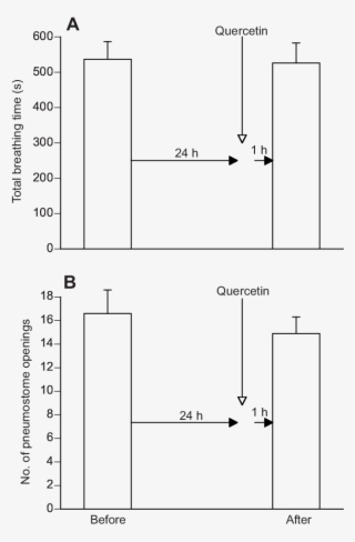 The Breathing Behaviour In Snails In Hypoxic Pond Water - Diagram