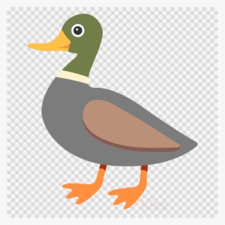 Goose Clipart Mallard Duck Goose - Duck Emoji Png