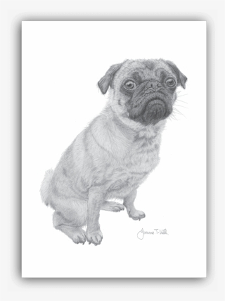 Pug Greeting Card - Pug