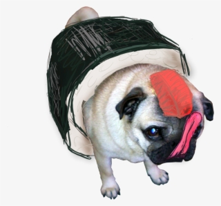 Transparent Pugs Drawn Sushi Pug - Transparent Pug Tumblr Drawings