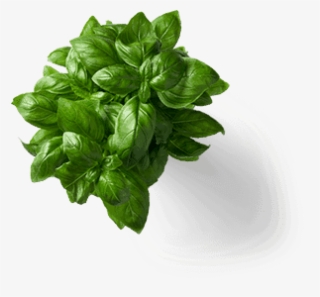 Add Parallax Effect To Your Layers - Restaurant