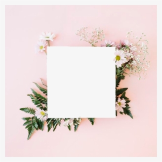 Tumblr Aesthetic Flowers Flower Polaroid Png Aesthetic - Convite Casamento Campo