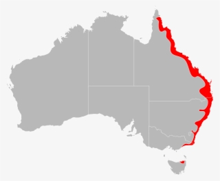 Ixodes Holocyclus Range Map - No Australia