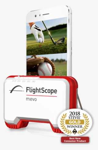 Flightscope Honored As Gold Stevie Award Winner In - Despicable Me 2 Animation 2013 32x24 Print Poster