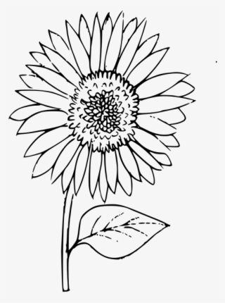 Coloring Pictures Of Sunflowers Fresh Coloring Sunflower