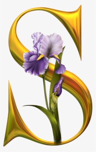 S - Susan In Letters