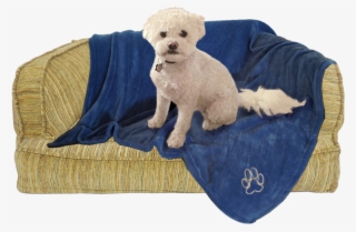 Arlee Pet Products Sleepy Dog Blue Fleece Throw Blanket - Arlee