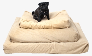 The Best Piddle Proof Dog Bed Protector - Oneforpets Piddle-proof Dog Bed Protector