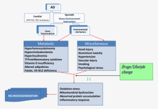 Viewdownloadnew - Familial And Sporadic Alzheimer's Disease