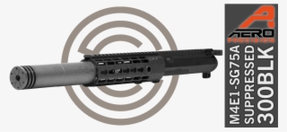 300 Blackout Suppressor - Internal Security Department