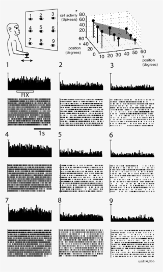 Top Left Part - Illustration