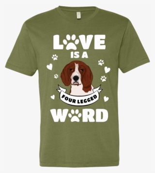 Four Legged Word - Basset Hound