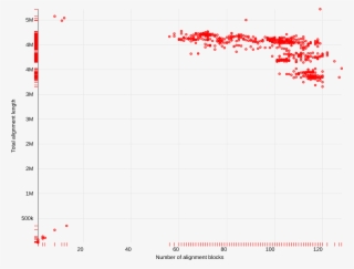 Identity Versus Length - Number
