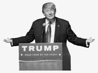 Grab Them By The Pussy - Newspaper