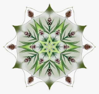 Search - Mobile Phone