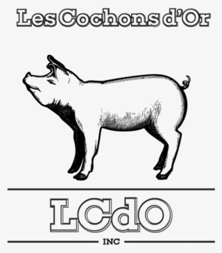 Les Cochons D'or - Le Cochon D Or Hot Springs