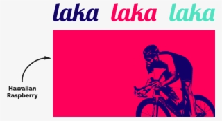 We Moved Away From Our Boxy Logo And Gave Laka More - Laka Insurance