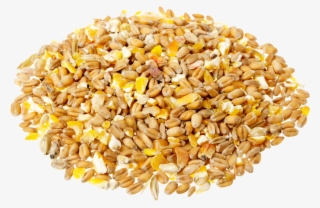 Overview Image - Maize Cereal