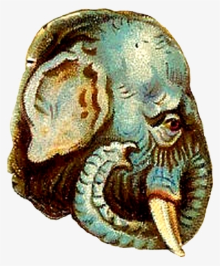 Elephant Head For Animal Bunting Free - Wild Boar