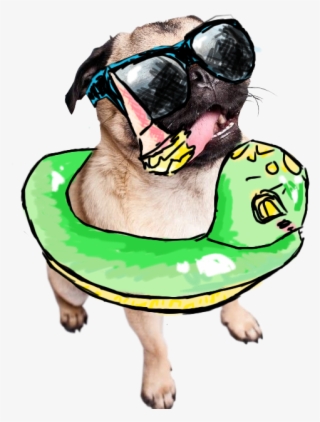 Drawn Transparent Summer Pug - Summer Pug Art Png