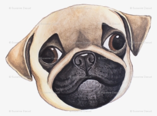 Pug