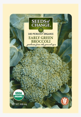 Organic Early Green Broccoli Seeds - Seeds Of Change 06069 Certified Organic Dill